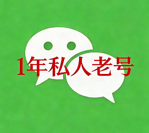 1 年私人成品微信号 实名绑卡 支付正常 带历史账单 可解封 自动发卡